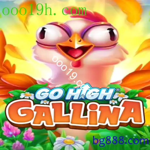 GoHighGallina